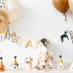 Bow Wow Party Hats, Pack of 8