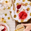 Brushstroke Large Plates (10 per pack)