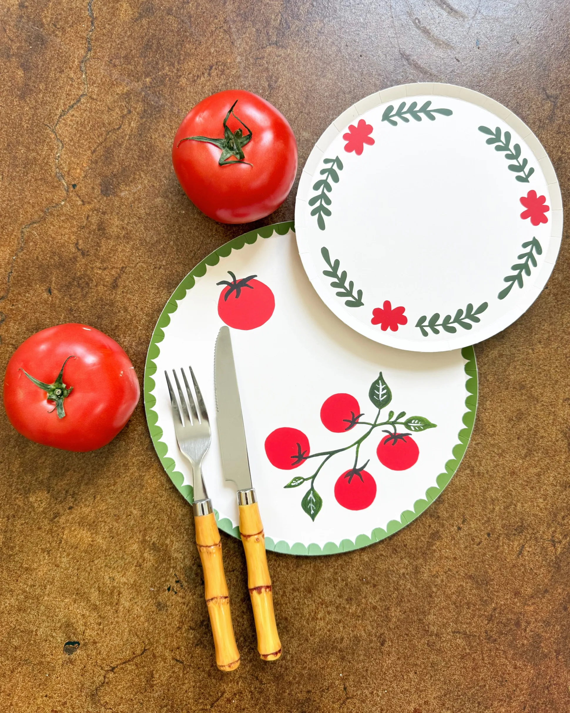 Casa Dinner Plate Set - set of 12