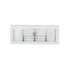 Cool Palette Frenchie Striped Baking Cups, Pack of 48
