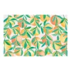 Fruit Grove Paper Placemats, Pack of 24