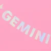Gemini Baby Banner - Iridescent Foil Banner