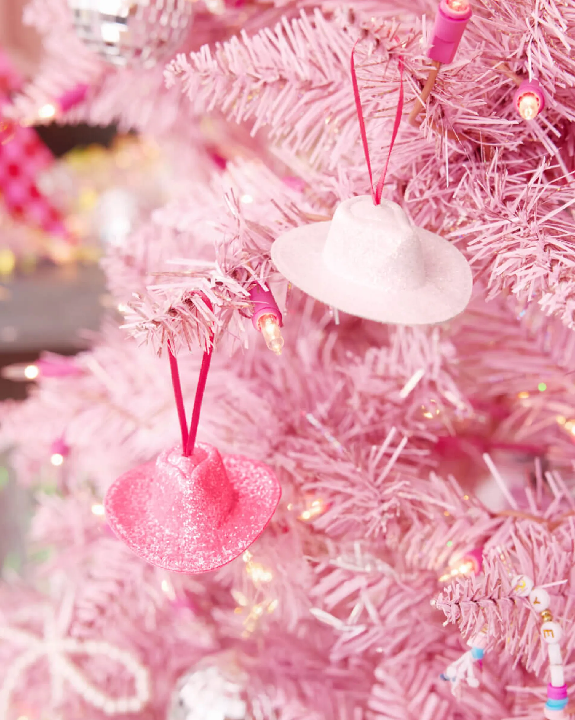 Hoedown Ornament Set - 10 piece ornament set