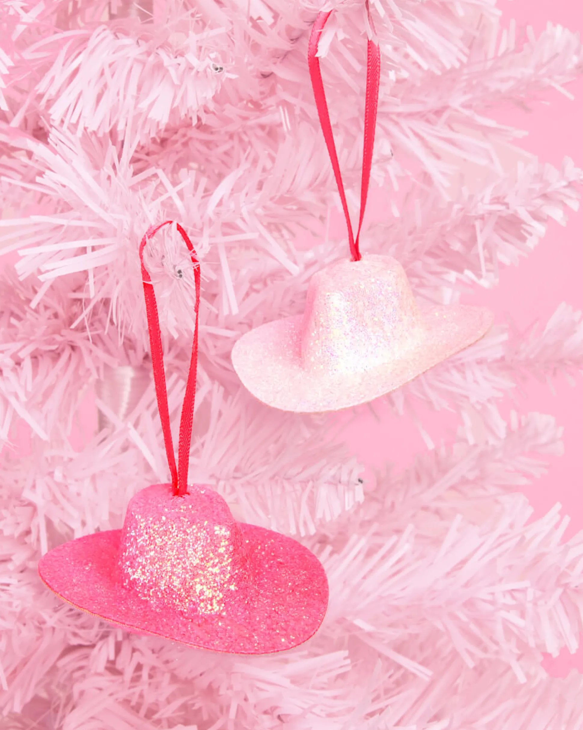 Hoedown Ornament Set - 10 piece ornament set