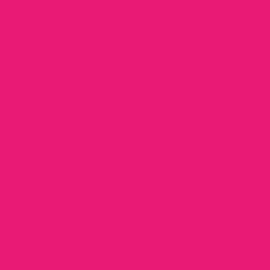 Hot Pink Classic Small Plates (10 per pack)