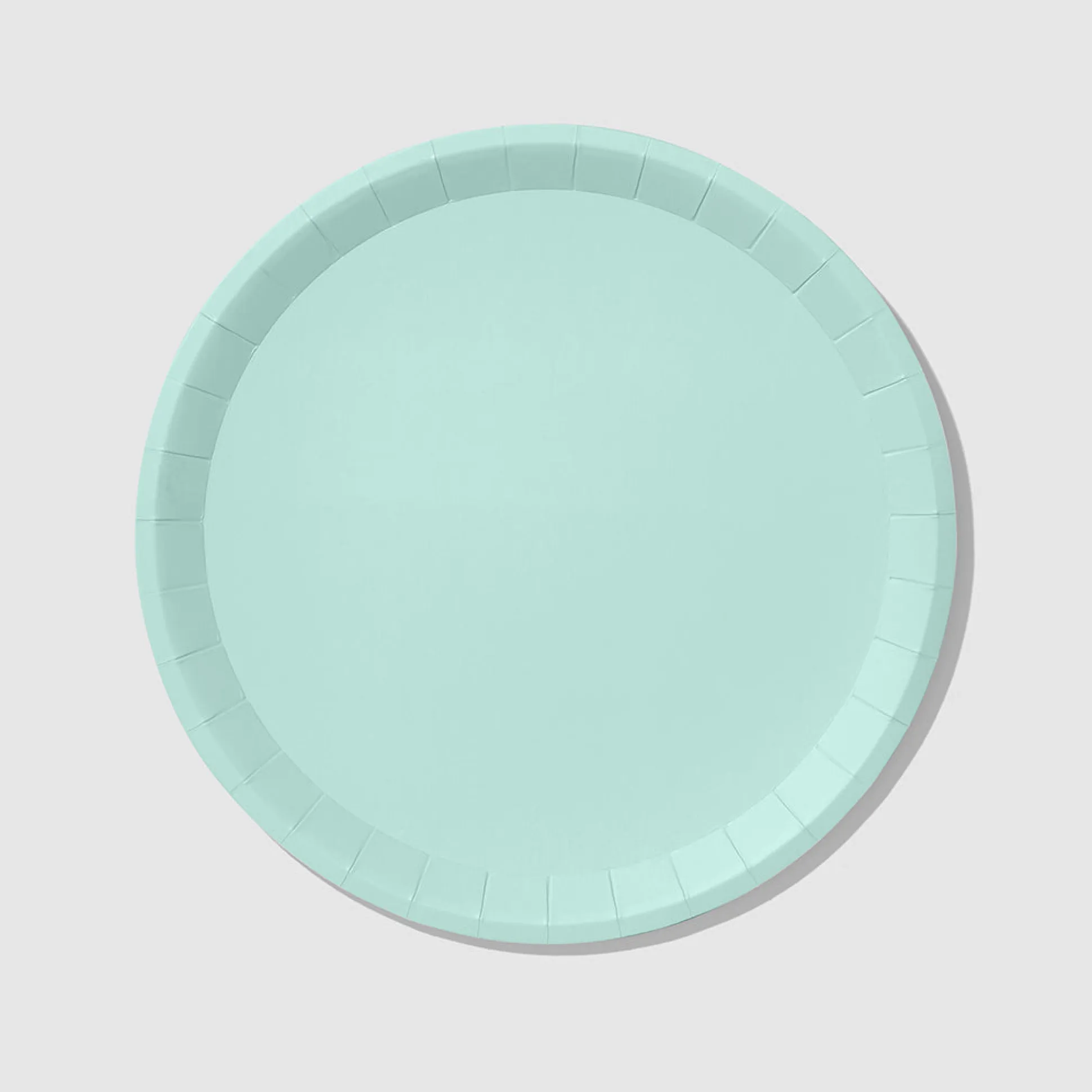 Mint Classic Large Plates (10 per pack)
