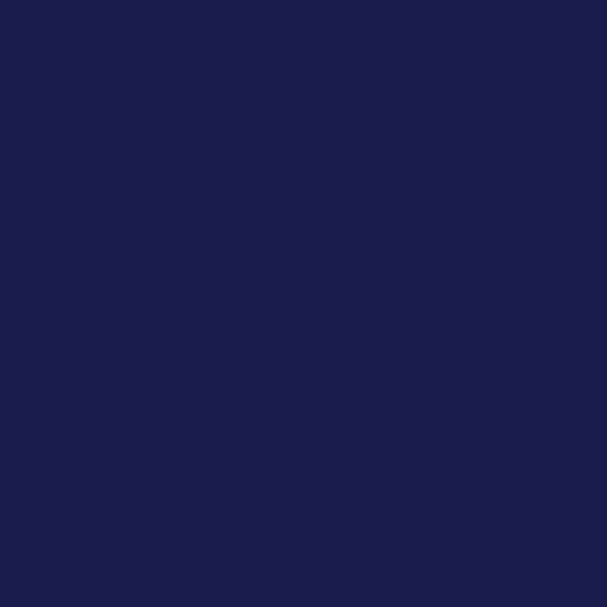 Navy Classic Large Plates (10 per pack)