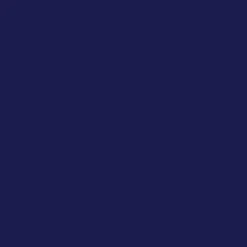 Navy Classic Small Plates (10 per pack)