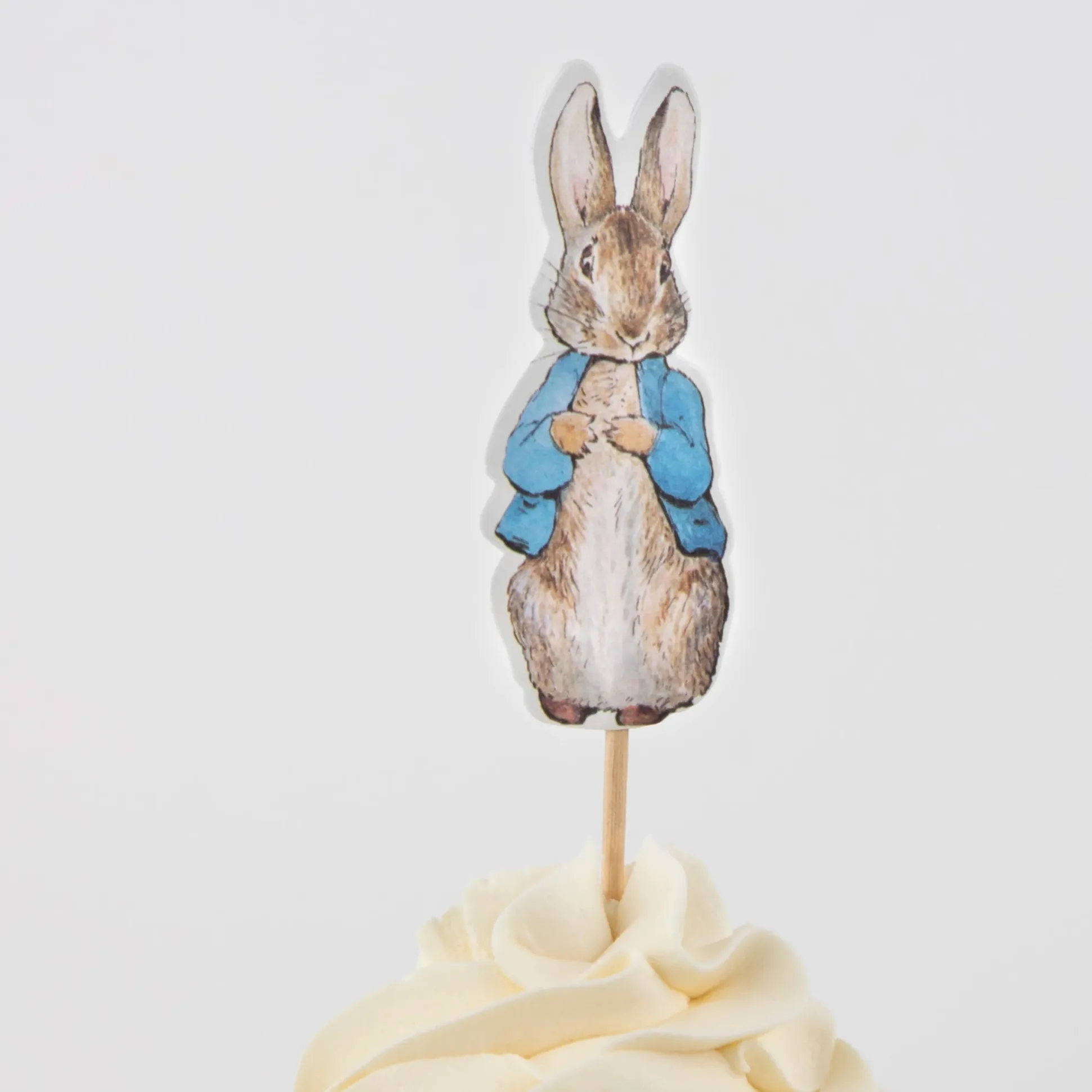 Peter Rabbit In The Garden Cupcake Kit, Pack of 24