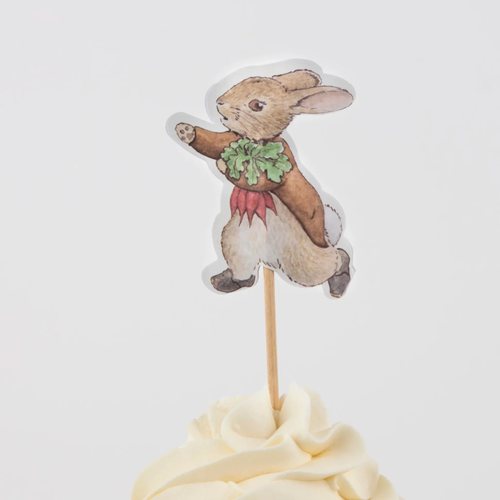 Peter Rabbit In The Garden Cupcake Kit, Pack of 24