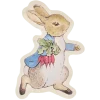 Peter Rabbit Reusable Plate