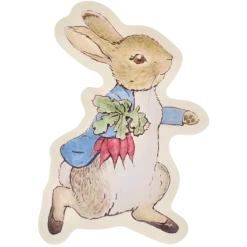 Peter Rabbit Reusable Plate