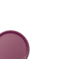Plum Classic Large Plates (10 per pack)