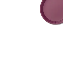 Plum Classic Small Plates (10 per pack)