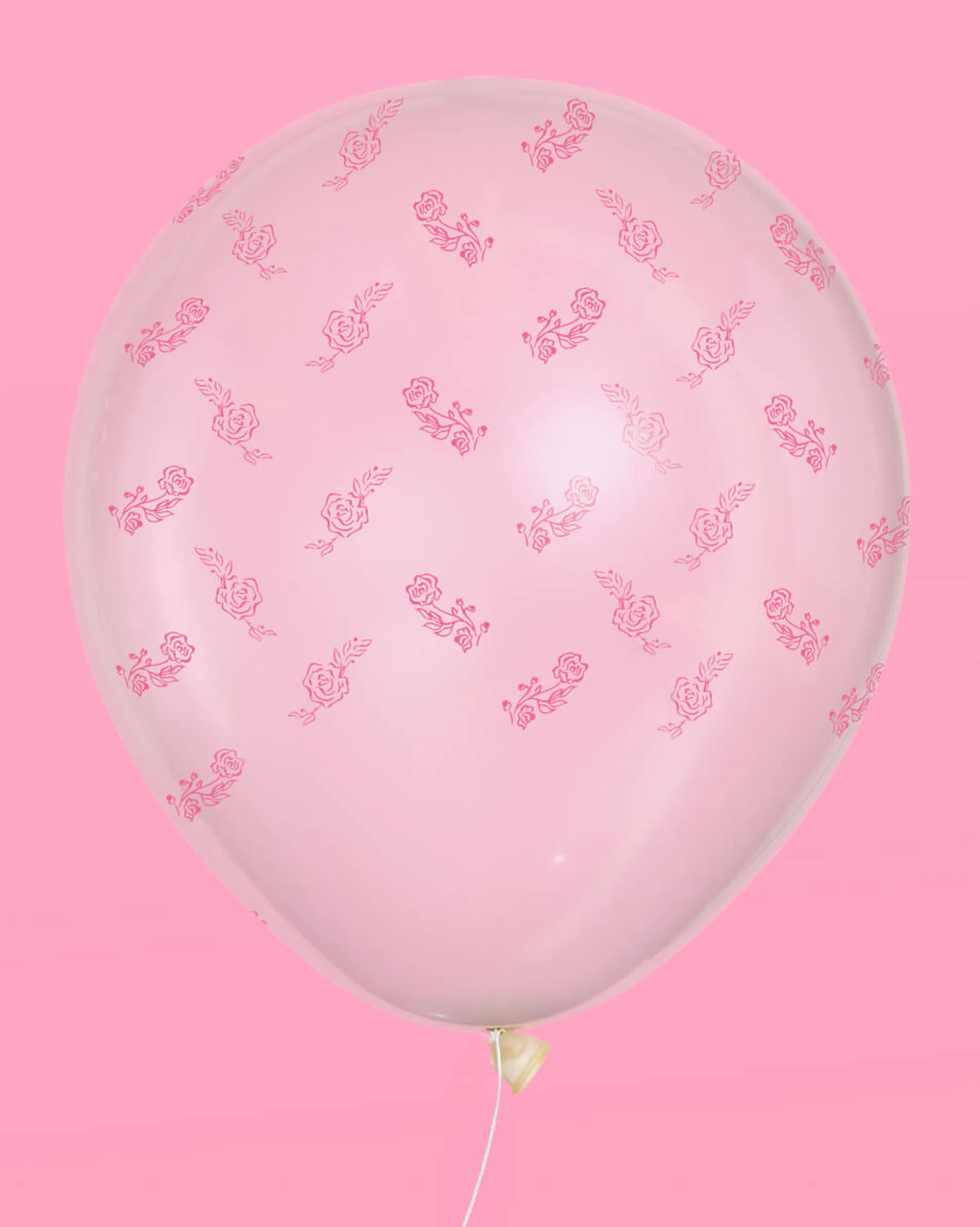 Romance Balloon Pack - 24 latex balloons