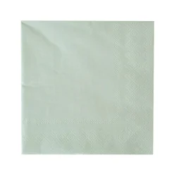 Shade Collection Large Napkins, Pack of 16