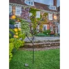 Solar Starburst Branch, Set of 3