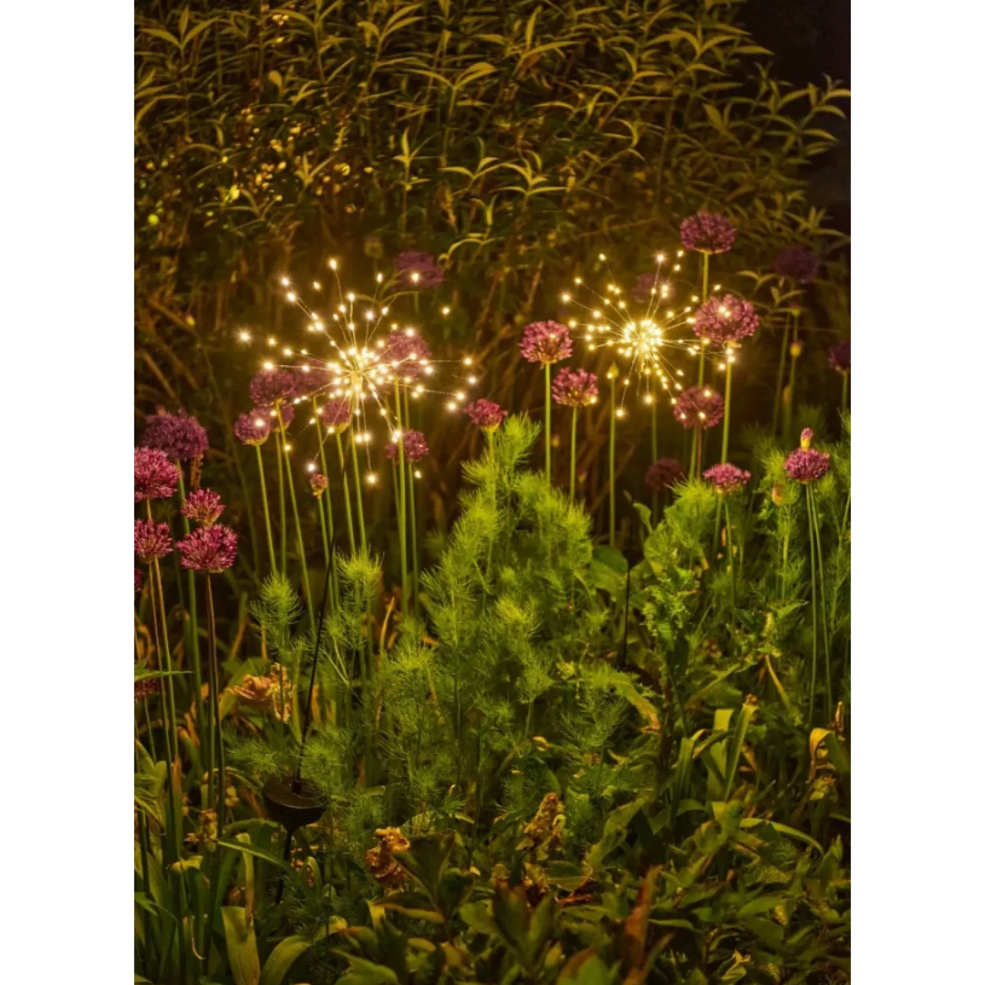Solar Starburst Stake Light, Set of 3