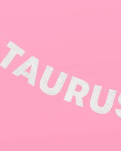 Taurus Season Banner - Silver Glitter Banner