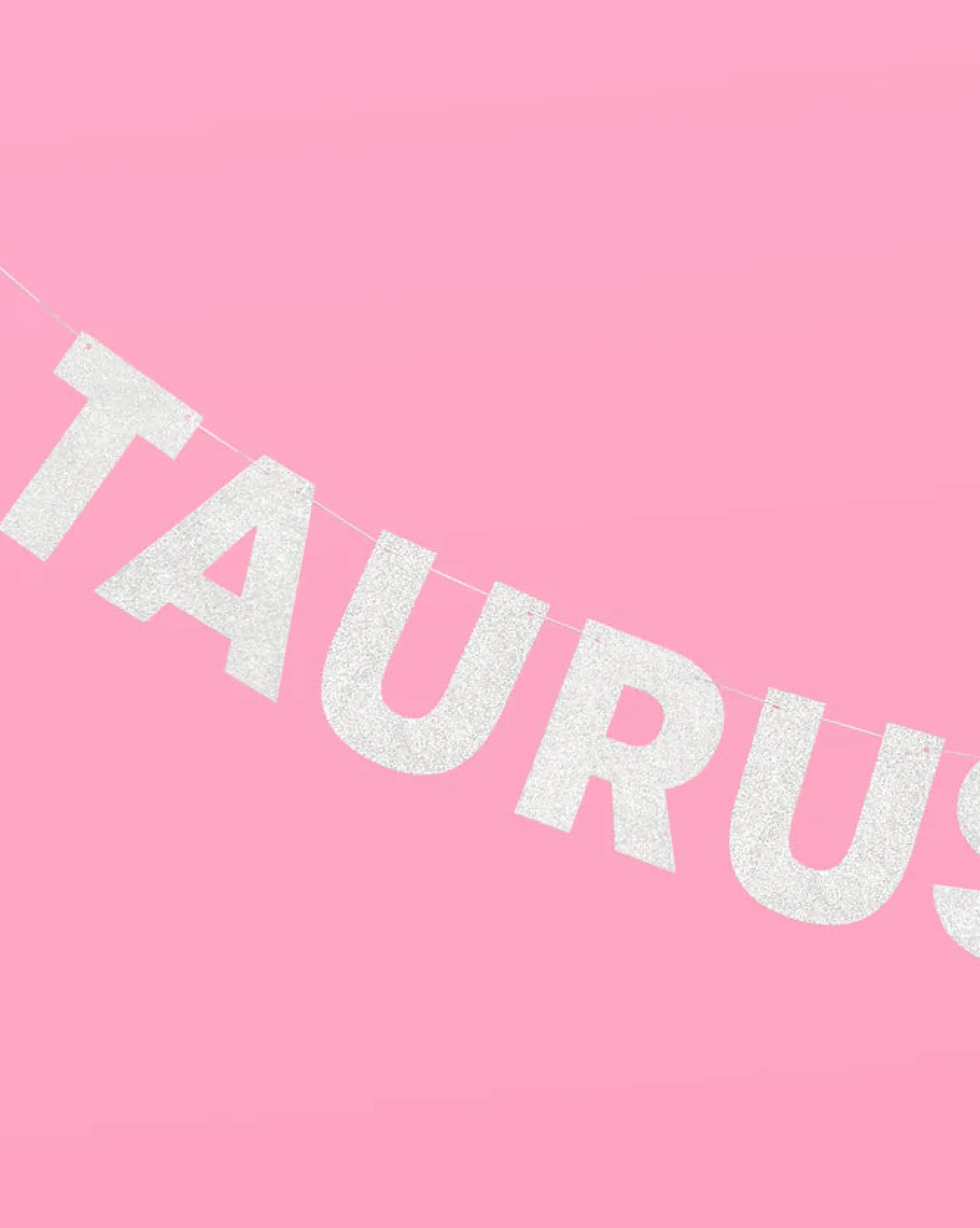 Taurus Season Banner - Silver Glitter Banner