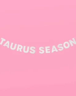 Taurus Season Banner - Silver Glitter Banner