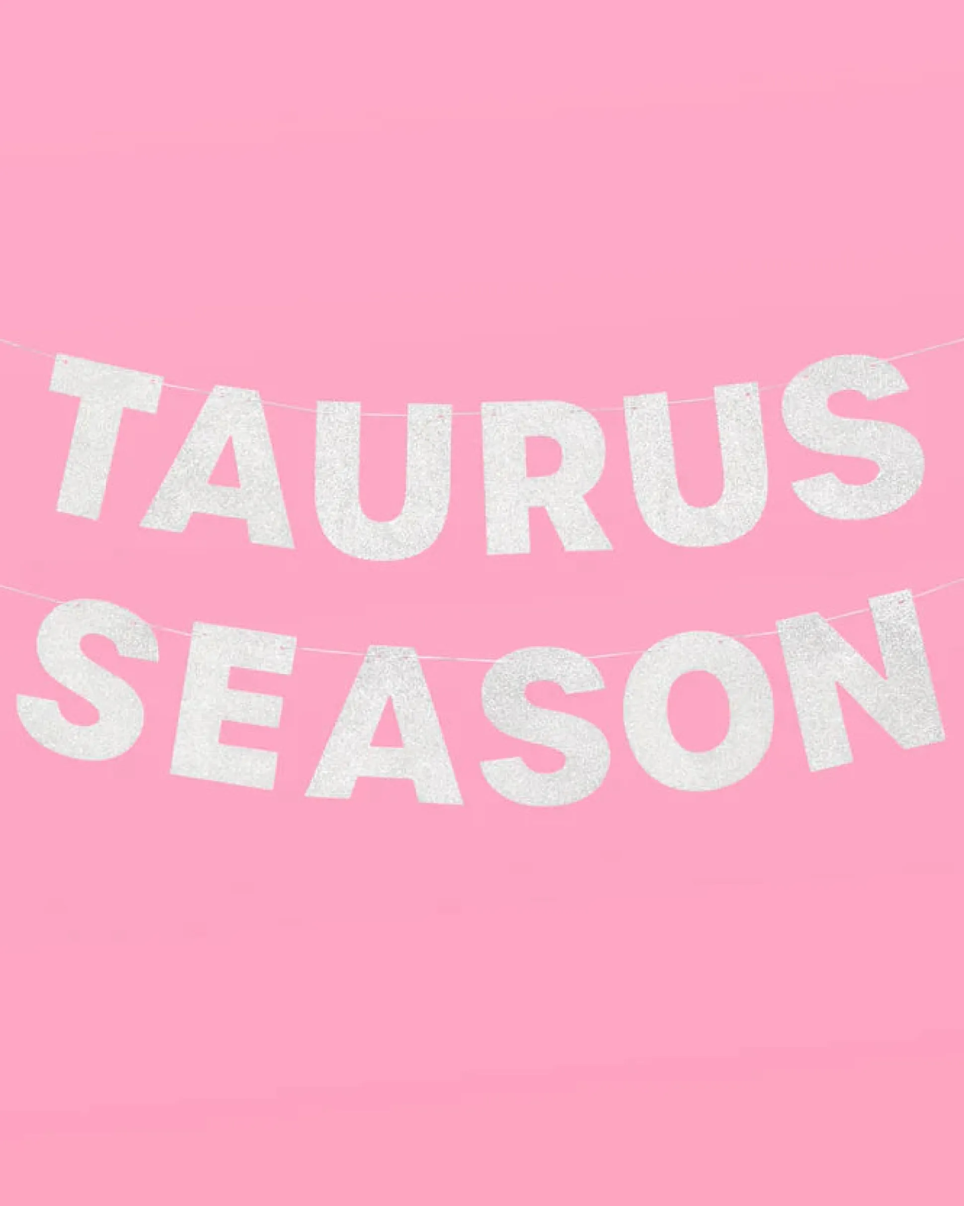 Taurus Season Banner - Silver Glitter Banner