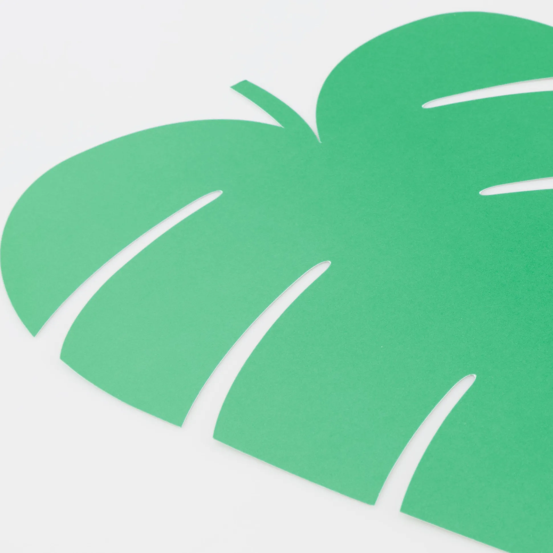 Tropical Leaf Paper Placemats (x 12)