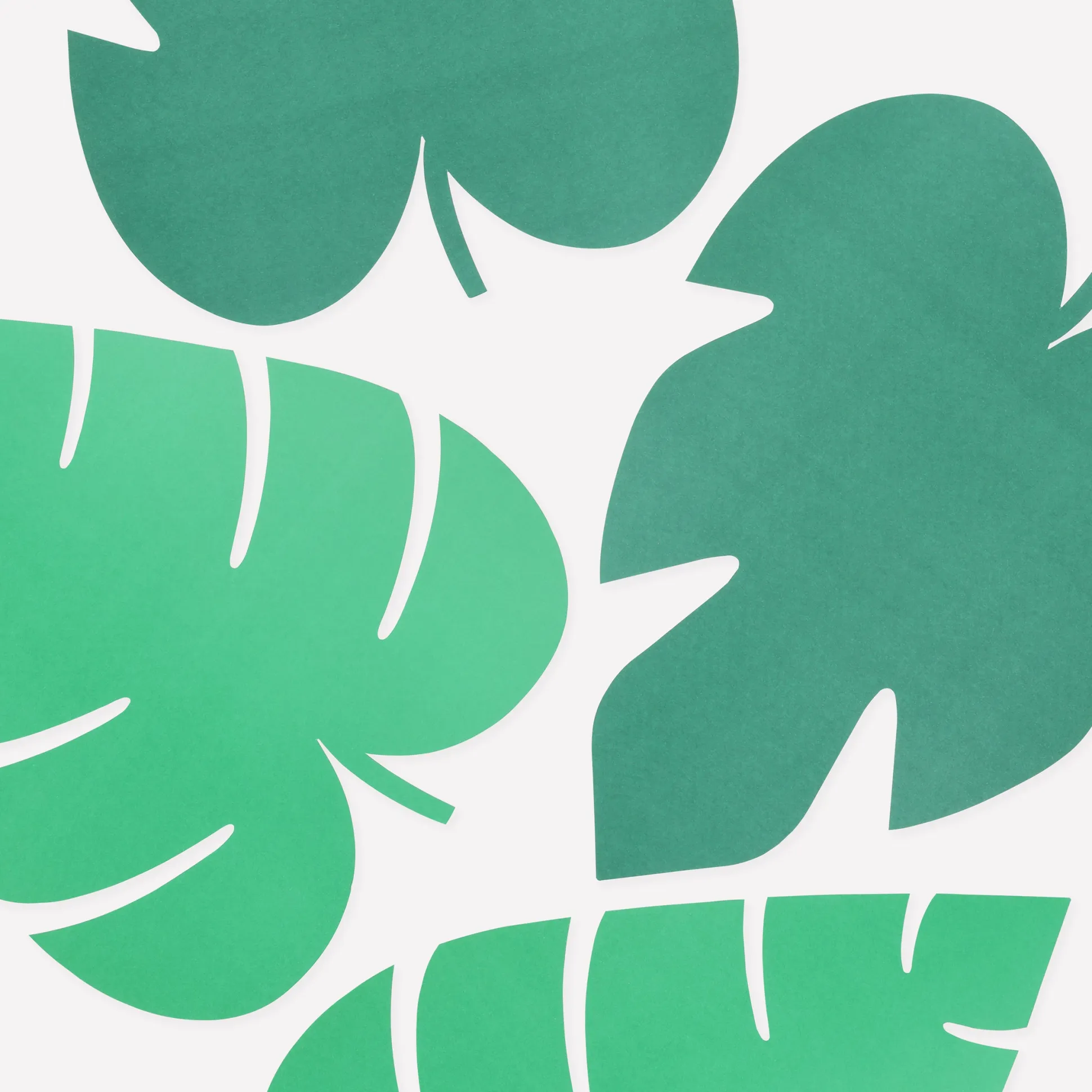 Tropical Leaf Paper Placemats (x 12)