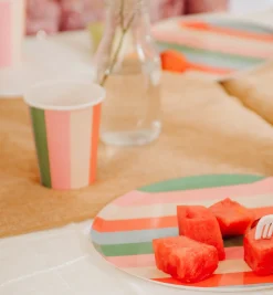 Vibrant Striped Party Pack for 12