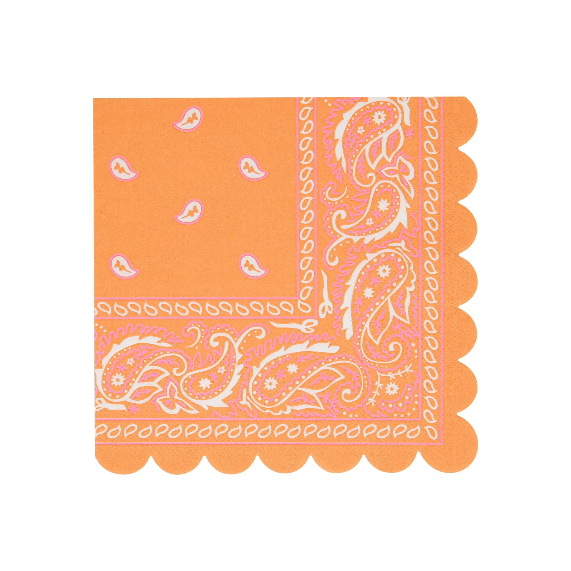 Western Large Napkins, Set of 16