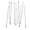 Yeehaw Pencil Set, Pack of 10